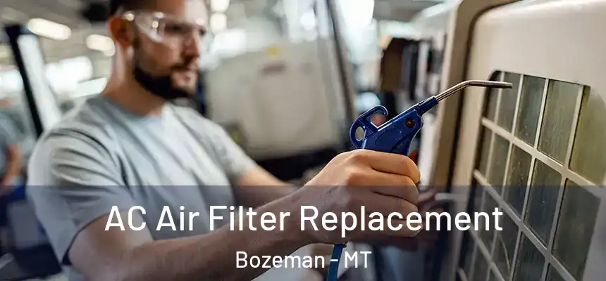 AC Air Filter Replacement Bozeman - MT