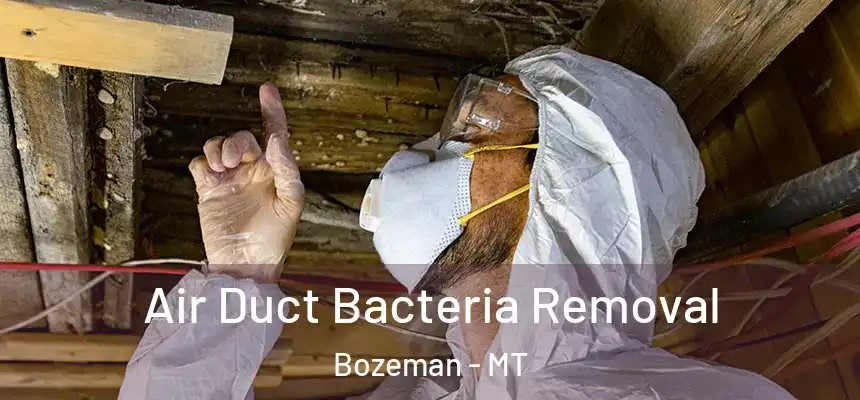 Air Duct Bacteria Removal Bozeman - MT