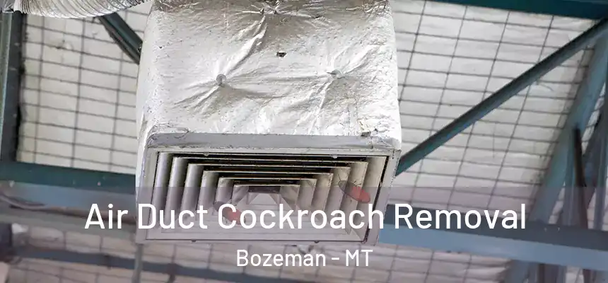  Air Duct Cockroach Removal Bozeman - MT