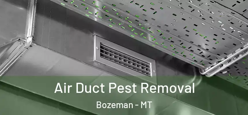  Air Duct Pest Removal Bozeman - MT