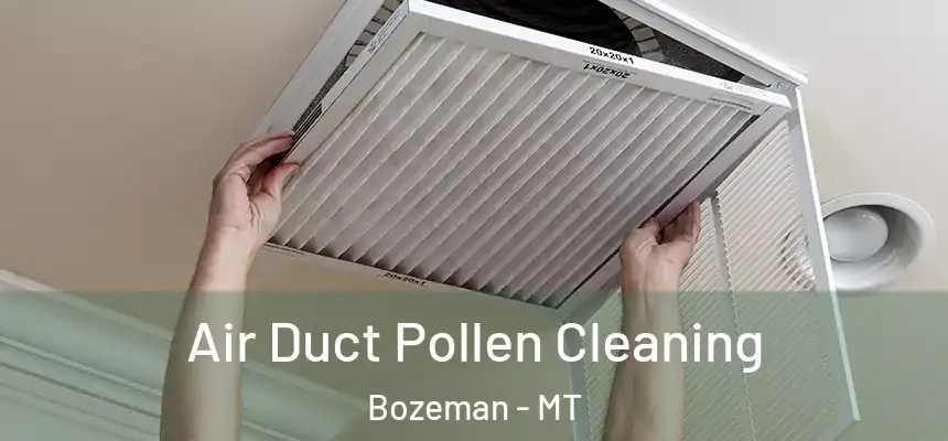 Air Duct Pollen Cleaning Bozeman - MT