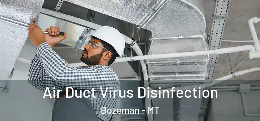  Air Duct Virus Disinfection Bozeman - MT