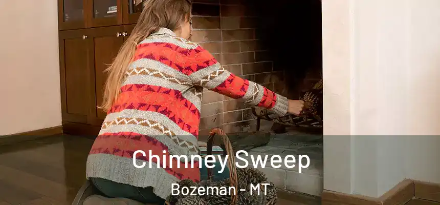Chimney Sweep Bozeman - MT