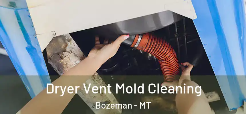  Dryer Vent Mold Cleaning Bozeman - MT