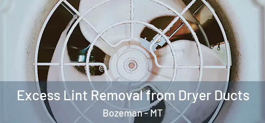 Excess Lint Removal from Dryer Ducts Bozeman - MT
