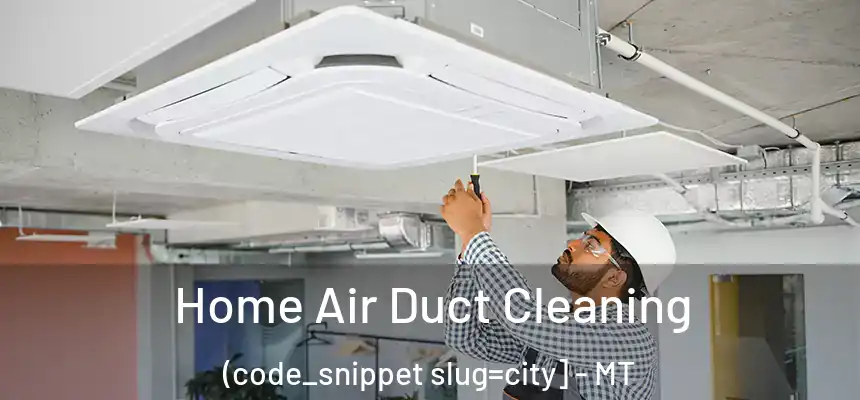  Home Air Duct Cleaning (code_snippet slug=city] - MT