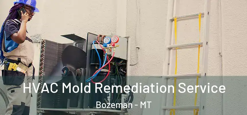  HVAC Mold Remediation Service Bozeman - MT