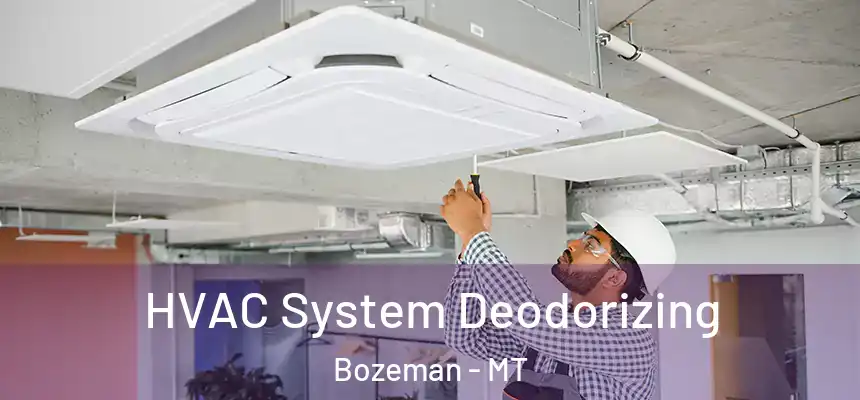 HVAC System Deodorizing Bozeman - MT