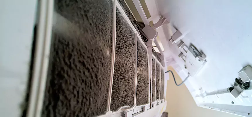 Preventive Air Duct Bacteria Removal in Bozeman