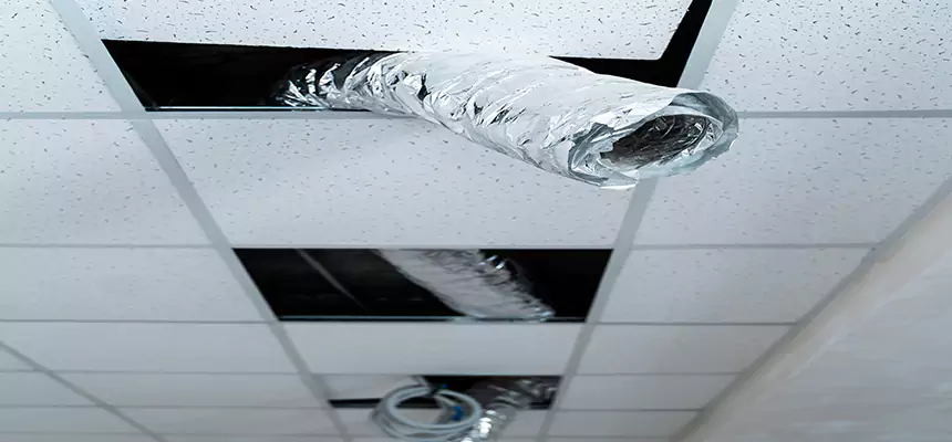 Affordable HVAC Sanitizing After Pest Removal in Bozeman