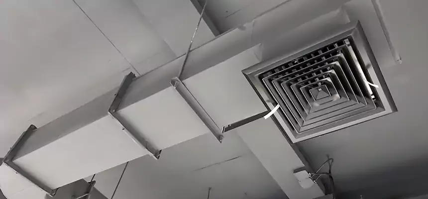 Our Pest Removal From Ducts Services in Bozeman, MT