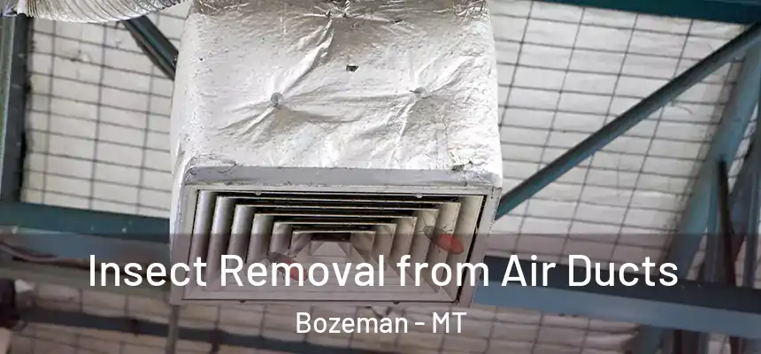  Insect Removal from Air Ducts Bozeman - MT