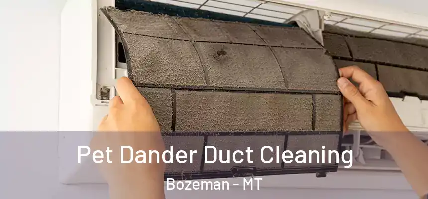  Pet Dander Duct Cleaning Bozeman - MT