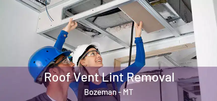  Roof Vent Lint Removal Bozeman - MT