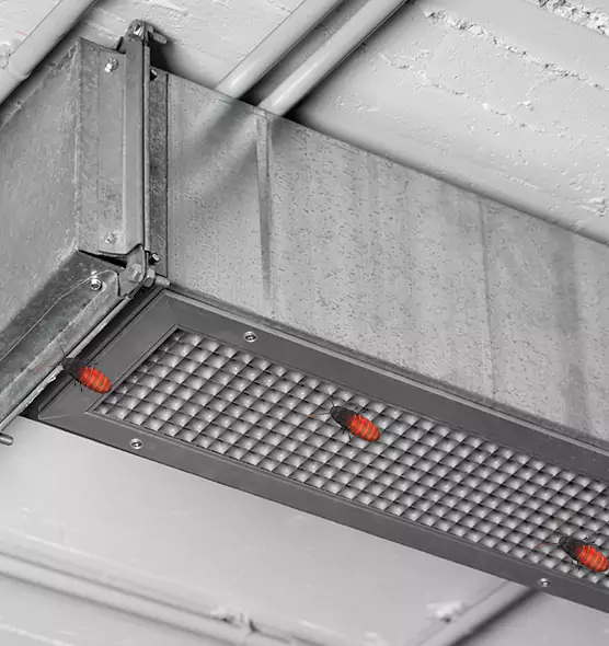 About Air Duct Cockroach Removal in Bozeman, MT
