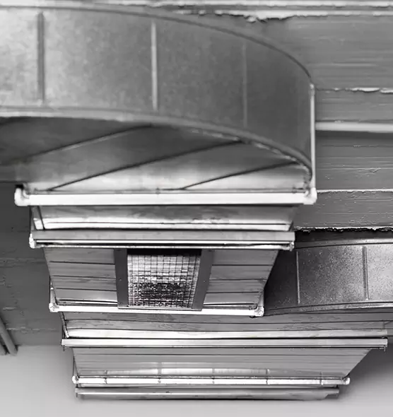 Professional Air Duct Pet Hair Removal in Bozeman, MT