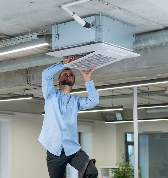 Advanced Rodent Droppings In Vents in Bozeman, MT