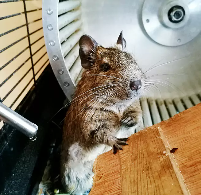 Why Homeowners & Businesses Trust Us Bozeman, MT