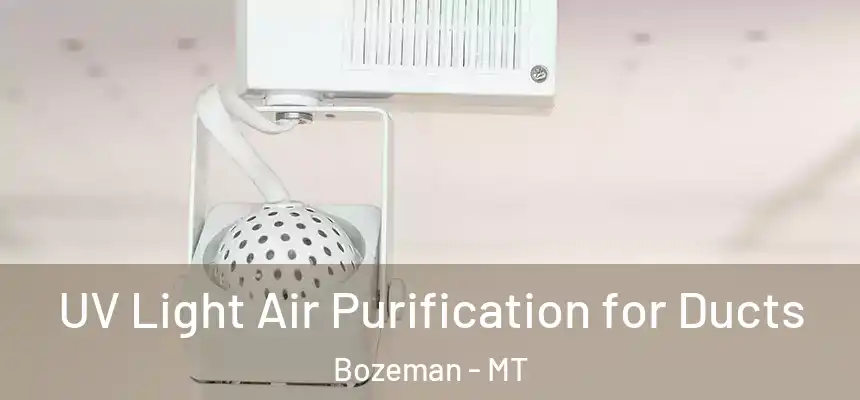  UV Light Air Purification for Ducts Bozeman - MT